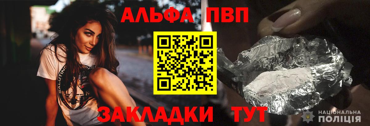 Альфа ПВП СК Мурманск