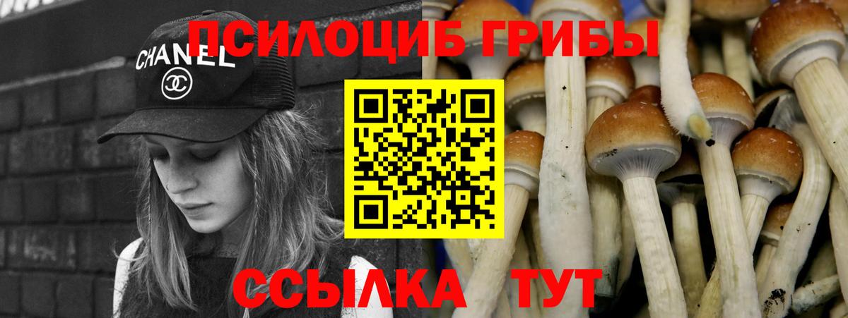 Мурманск  Галлюциногенные грибы Cubensis  Вход с VPN 