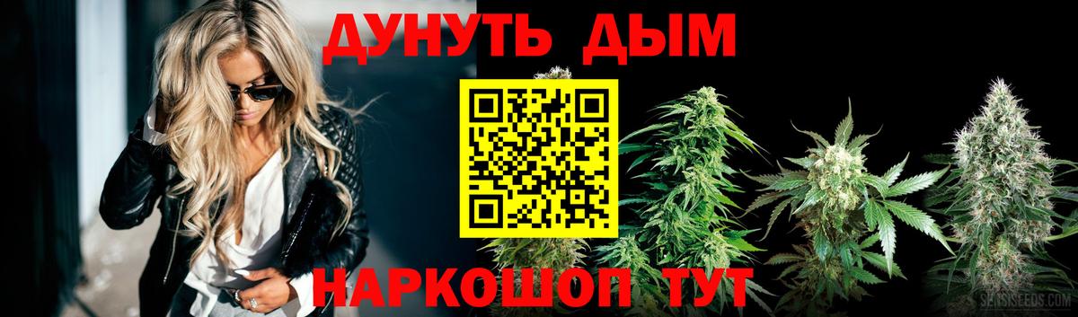 Мурманск  Шишки марихуана план  Бошки Шишки Bruce Banner  Марихуана план  Вход с VPN  Бошки Шишки Ganja 